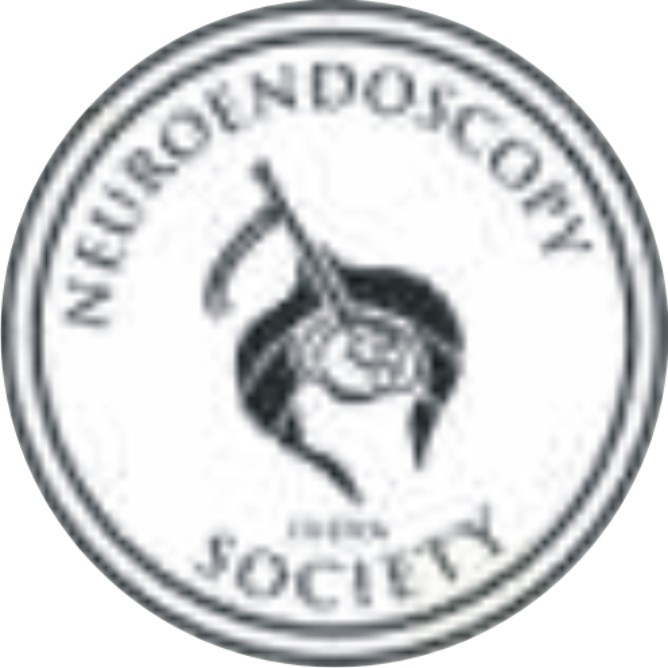  MNA-2025